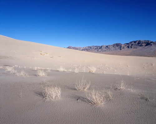 Eureka Dunes and Last Chance Range, Death Valley National Park, California (MF).jpg